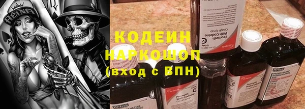 apvp Каменка